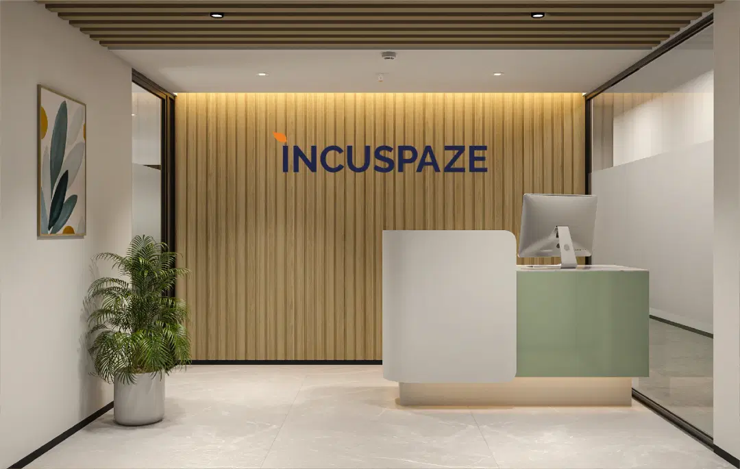 Incuspaze Akaya One - Image 1