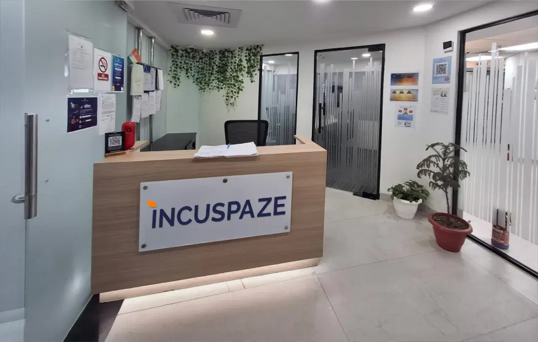 Incuspaze Shalimar Iridium - Image 1