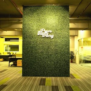 green-workspace-incuspaze